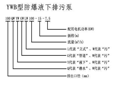 潛水排污泵,無堵塞排污泵,排污泵,自吸排污泵,排污泵圖片，排污泵型號，排污泵工作原理，排污泵價格，管道排污泵 ，排污泵廠家