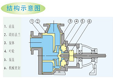 氟塑料自吸泵結構示意圖